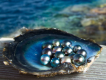 blue pearls